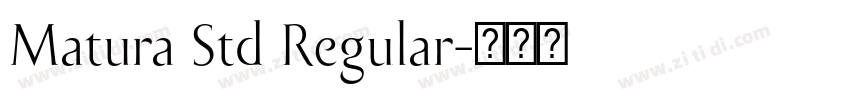 Matura Std Regular字体转换